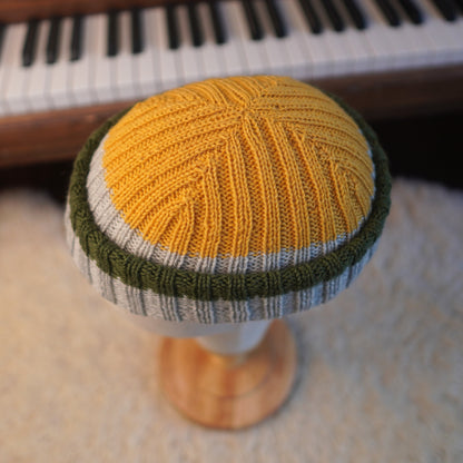 The Southlander Reknit