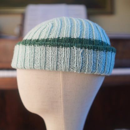 The Southlander Reknit