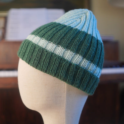 The Southlander Reknit